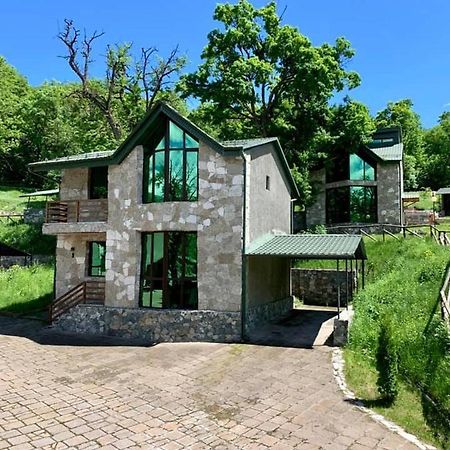 Dilijan Villa 12 Esterno foto